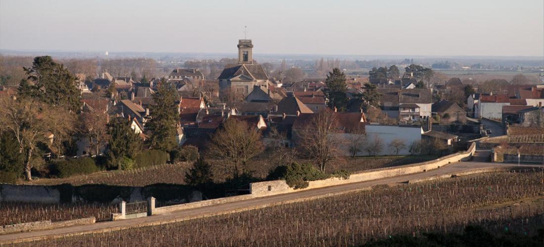 Domaine Violot-Guillemard Bed & Breakfast Pommard Exterior photo